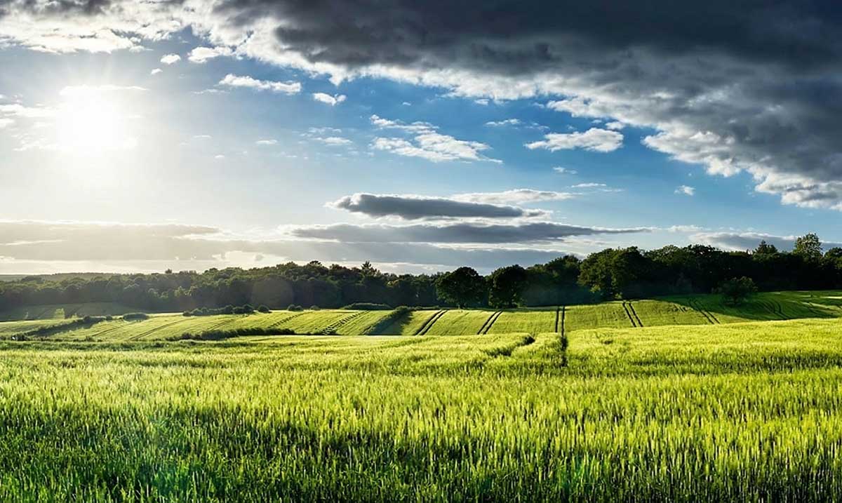 ΟΠΕΚΕΠΕ: Τι ισχύει για αγροτεμάχια χωρίς ΚΑΕΚ και Μέτρο 23