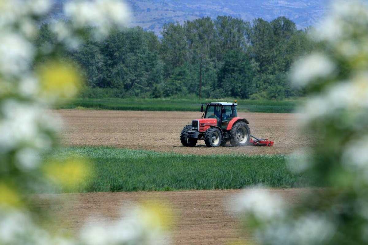 Πληρωμή αγροτεμαχίων έως 20 στρέμματα παρά τα προβλήματα ΚΑΕΚ – Διευκρινίσεις από το ΥΠΑΑΤ