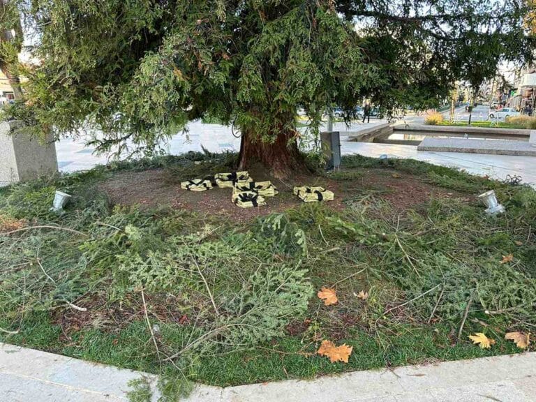 Τρίκαλα: Εικόνα εγκατάλειψης στο ψηλότερο φυσικό χριστουγεννιάτικο δέντρο