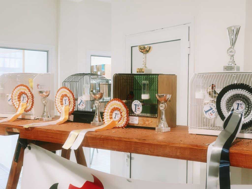 Τρίκαλα: Επιτυχής η έκθεση και ο διαγωνισμός 250 καναρινιών και αγριοπουλιών