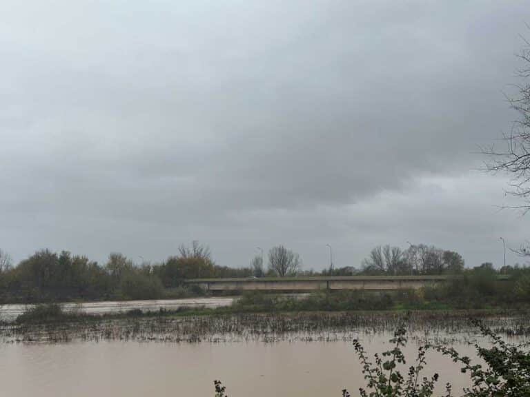 Ο Πηνειός ποταμός με υψηλή στάθμη νερού από Μεγάλα Καλύβια έως Γλίνος, με εκτεταμένη πλημμυρική εικόνα γύρω από τα αναχώματα και τη γέφυρα του Ε65.