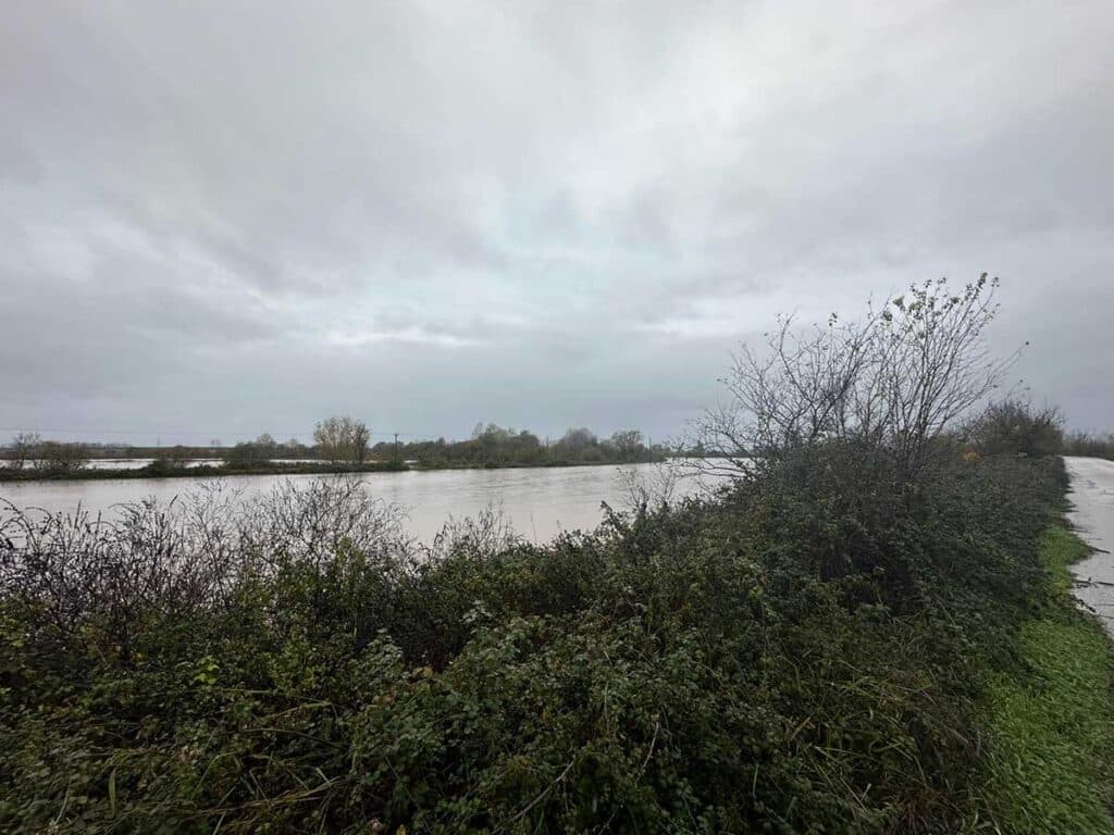 Ο Πηνειός ποταμός με υψηλή στάθμη νερού από Μεγάλα Καλύβια έως Γλίνος, με εκτεταμένη πλημμυρική εικόνα γύρω από τα αναχώματα και τη γέφυρα του Ε65.