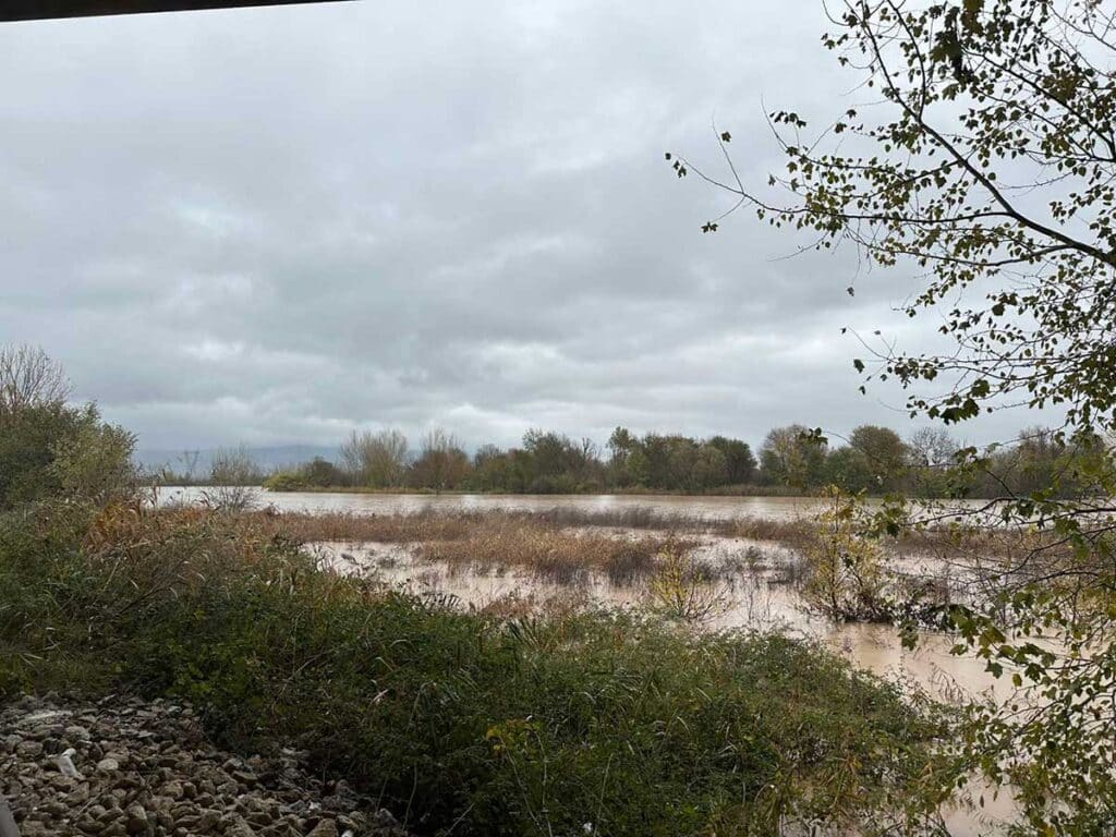 Ο Πηνειός ποταμός με υψηλή στάθμη νερού από Μεγάλα Καλύβια έως Γλίνος, με εκτεταμένη πλημμυρική εικόνα γύρω από τα αναχώματα και τη γέφυρα του Ε65.