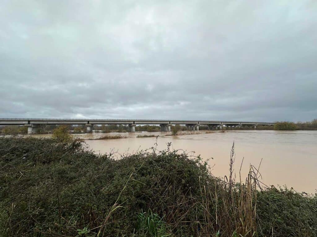 Ο Πηνειός ποταμός με υψηλή στάθμη νερού από Μεγάλα Καλύβια έως Γλίνος, με εκτεταμένη πλημμυρική εικόνα γύρω από τα αναχώματα και τη γέφυρα του Ε65.