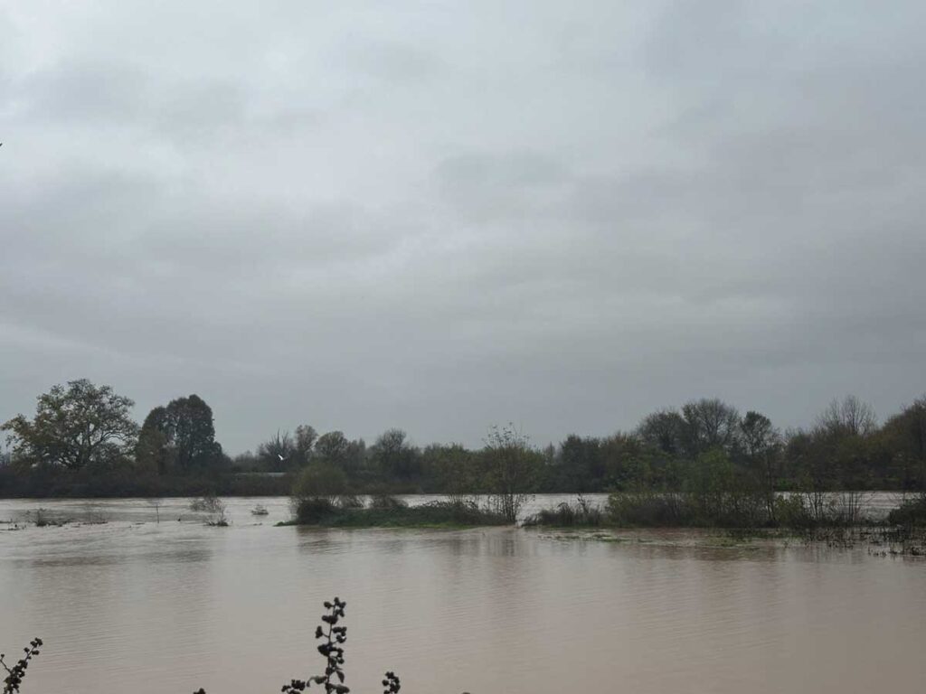 Ο Πηνειός ποταμός με υψηλή στάθμη νερού από Μεγάλα Καλύβια έως Γλίνος, με εκτεταμένη πλημμυρική εικόνα γύρω από τα αναχώματα και τη γέφυρα του Ε65.