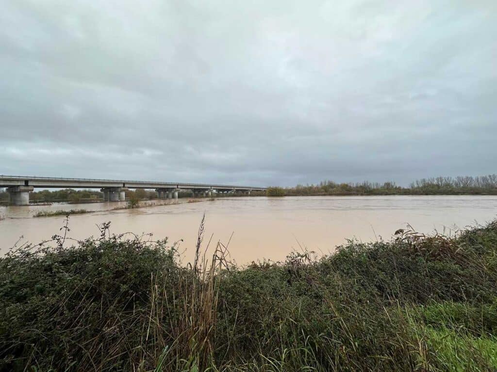 Ο Πηνειός ποταμός με υψηλή στάθμη νερού από Μεγάλα Καλύβια έως Γλίνος, με εκτεταμένη πλημμυρική εικόνα γύρω από τα αναχώματα και τη γέφυρα του Ε65.
