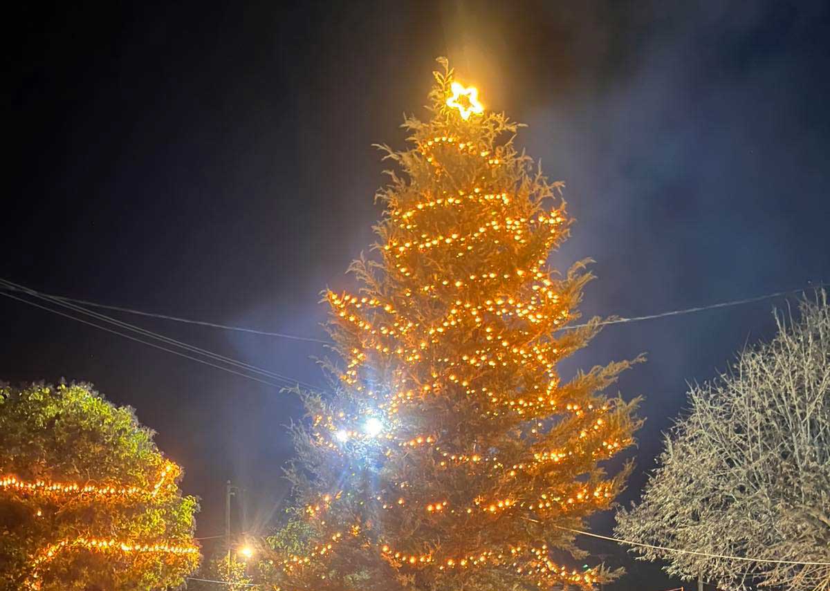Φωταγωγήθηκε το Χριστουγεννιάτικο Δέντρο στον Πρόδρομο Τρικάλων