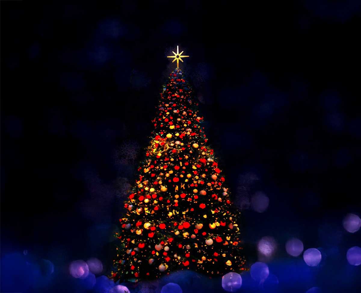 Πύλη: Φωταγώγηση χριστουγεννιάτικου δέντρου το Σάββατο