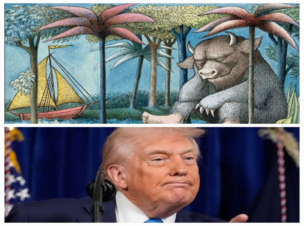 C:\Users\user\Downloads260109_213023 (3).jpg