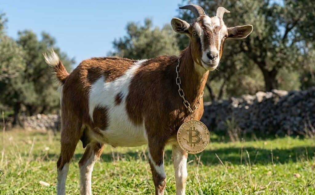 «Κτηνοτρόφος» με Bitcoin στα Τρίκαλα – ΟΠΕΚΕΠΕ τον πληρώνει