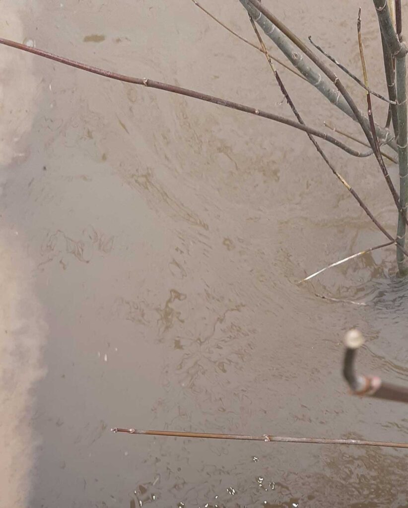 Ξαναπλημμύρισε ο οικισμός Τρίκκη στα Τρίκαλα – Στο ίδιο έργο θεατές