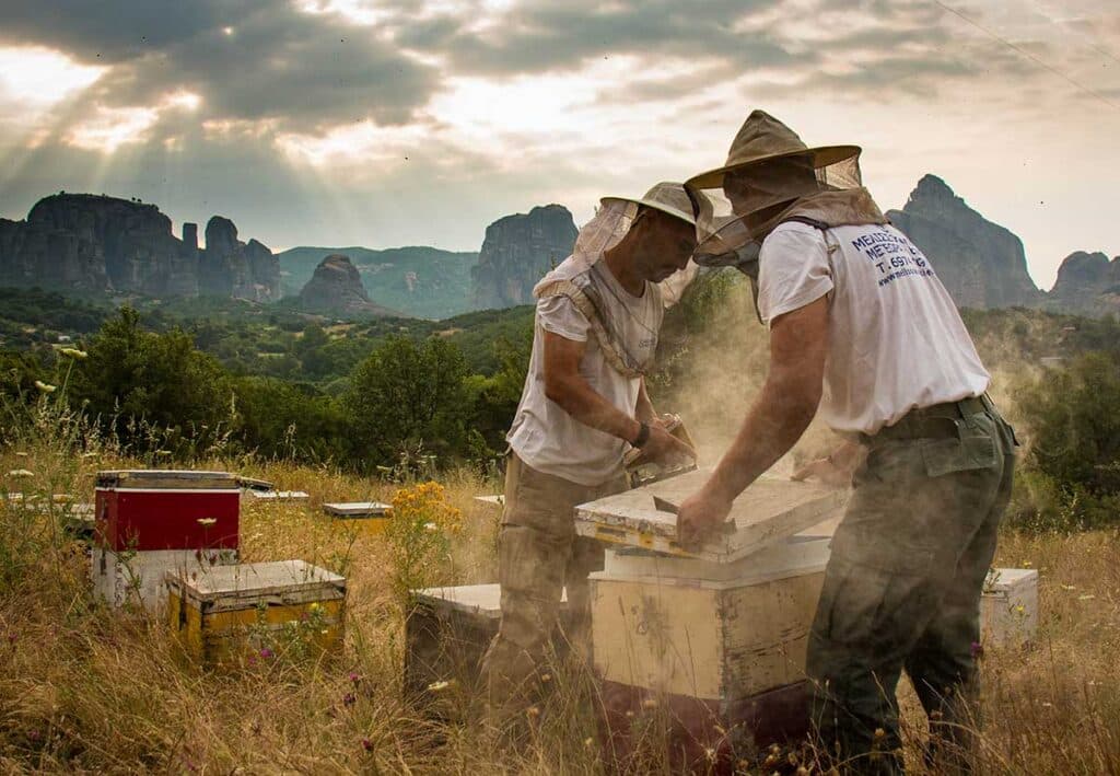 Διπλή διάκριση για το Μέλι Μετεώρων – Οικ. Λέκκα στα Athens Fine Food Awards 2026