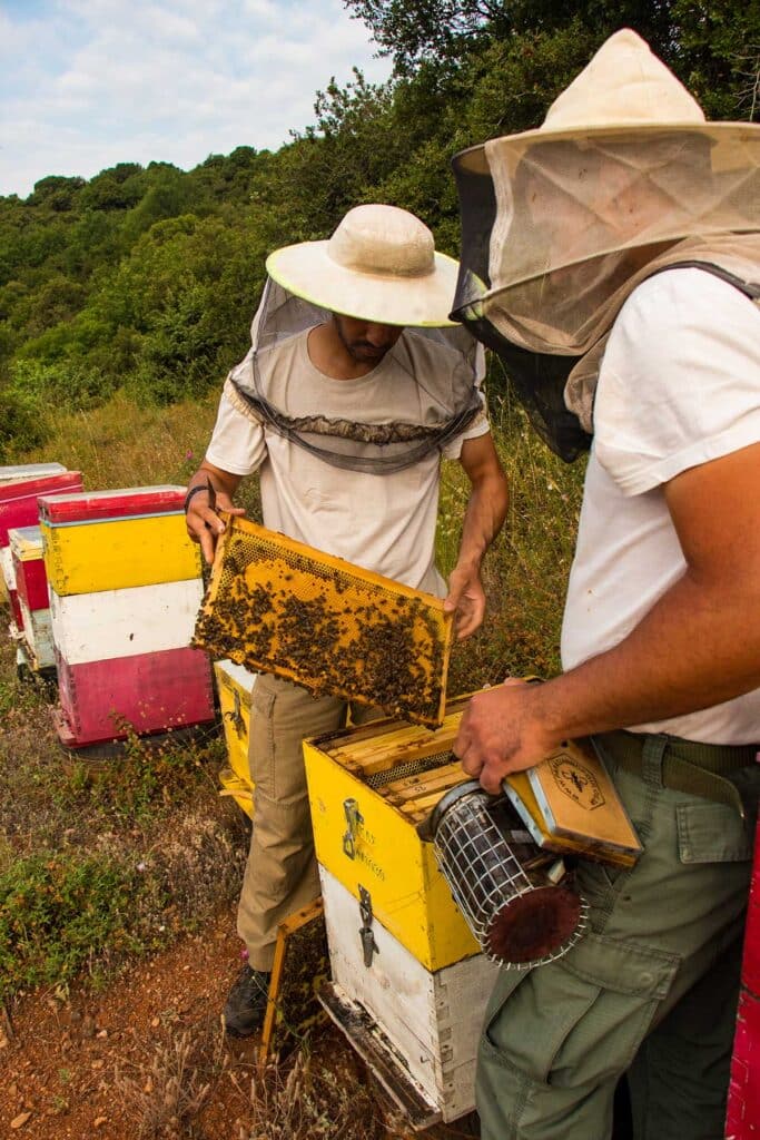 Διπλή διάκριση για το Μέλι Μετεώρων – Οικ. Λέκκα στα Athens Fine Food Awards 2026