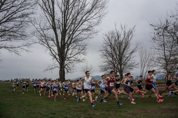 Βασίλης Πανάγος «Μια ιδέα με παγκόσμια αναγνώριση»