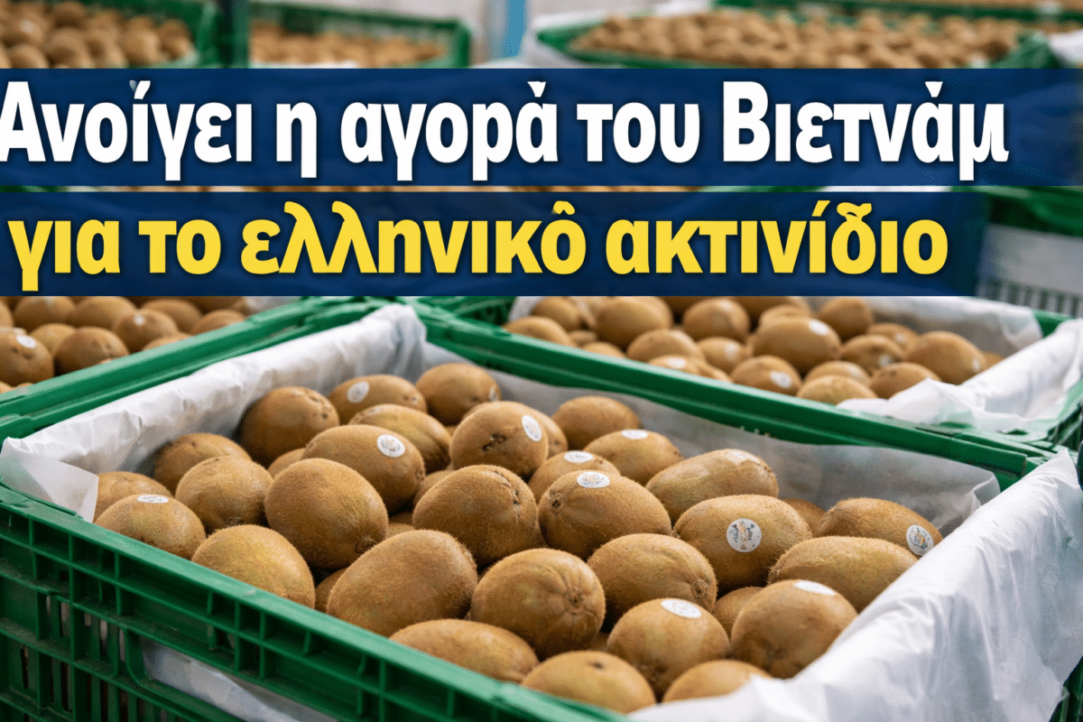 Άνοιξε η αγορά του Βιετνάμ για το ελληνικό ακτινίδιο