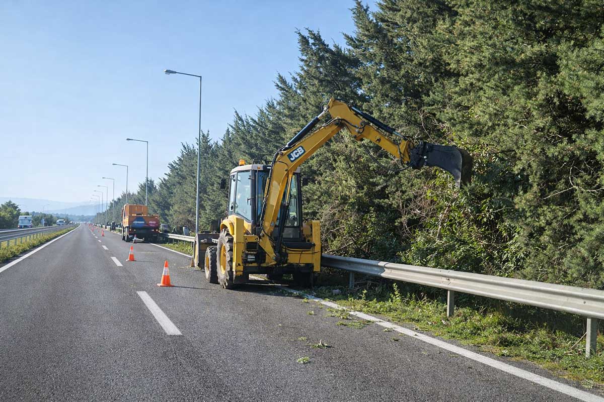 Κλάδεμα δέντρων σε εθνική οδό με προσωρινές κυκλοφοριακές ρυθμίσεις και έργα συντήρησης πρασίνου