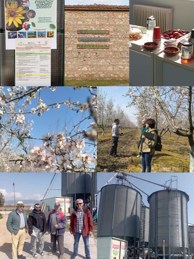 Αειφορία: Όταν τα σχολεία οραματίζονται ένα βιώσιμο μέλλον