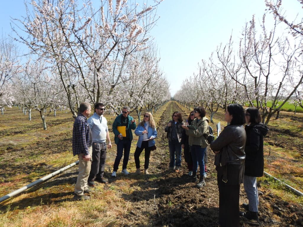 Αειφορία: Όταν τα σχολεία οραματίζονται ένα βιώσιμο μέλλον