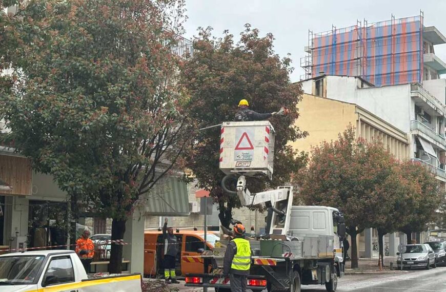 Κλάδεμα δέντρων στην οδό Τσιτσάνη στα Τρίκαλα με καλαθοφόρο όχημα υπό βροχή