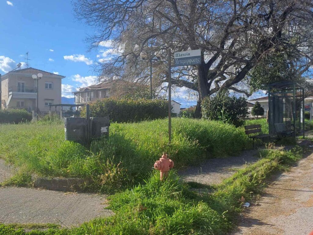 Εγκατάλειψη σε κοινόχρηστο χώρο στη Σωτήρα με πυκνή βλάστηση