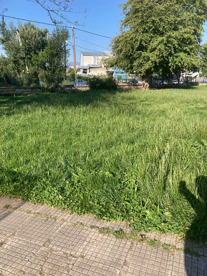 «Ζούγκλα» η αυλή στο 9ο Δημοτικό Σχολείο Τρικάλων