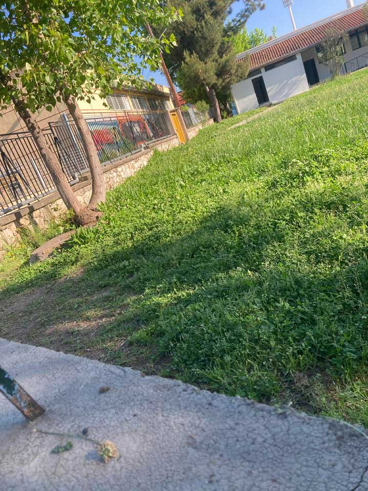 «Ζούγκλα» η αυλή στο 9ο Δημοτικό Σχολείο Τρικάλων