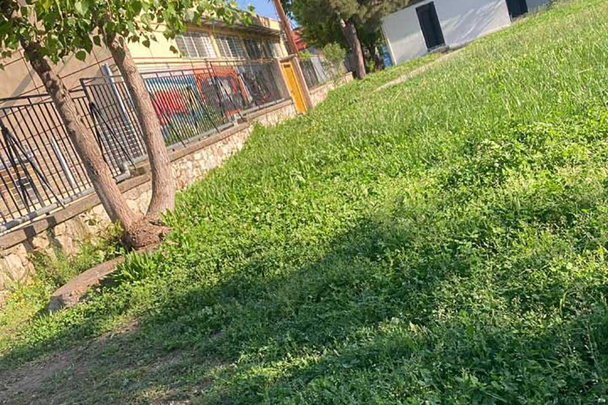 «Ζούγκλα» η αυλή στο 9ο Δημοτικό Σχολείο Τρικάλων
