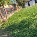 «Ζούγκλα» η αυλή στο 9ο Δημοτικό Σχολείο Τρικάλων