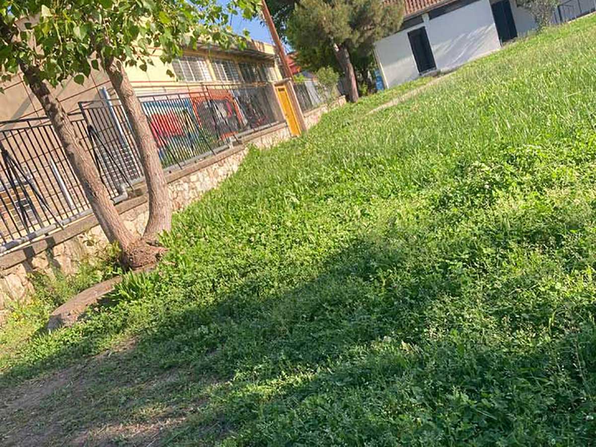 «Ζούγκλα» η αυλή στο 9ο Δημοτικό Σχολείο Τρικάλων