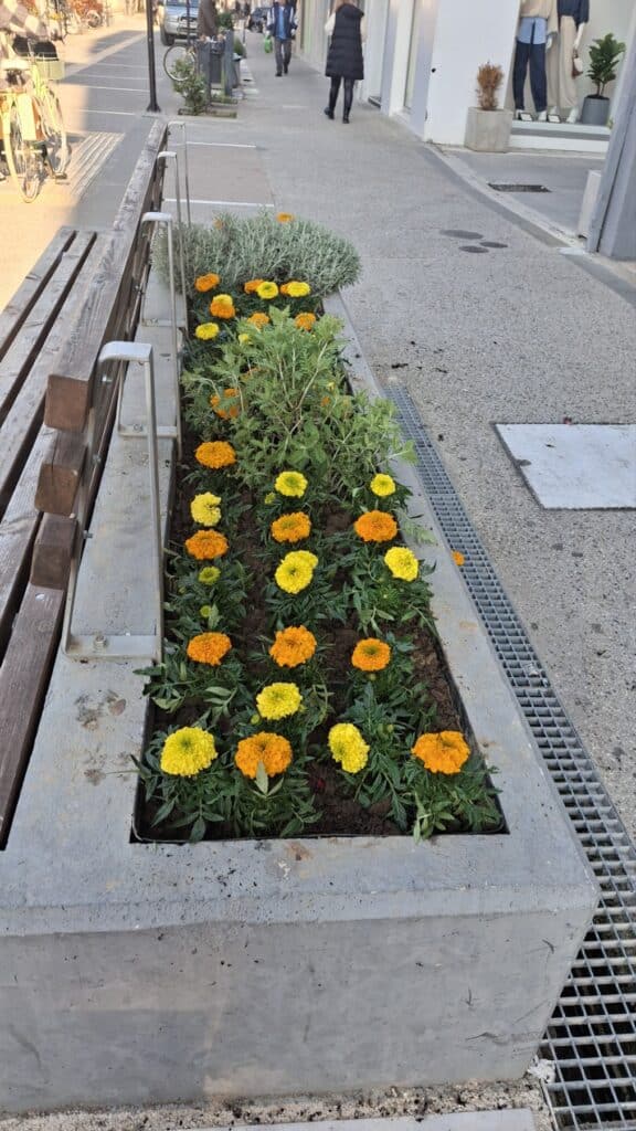 Ανοιξιάτικες φυτεύσεις ομορφαίνουν την Καρδίτσα