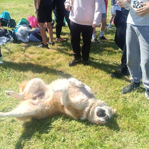 Άλλοι έτρεξαν, άλλος κουράστηκε