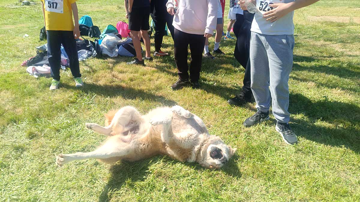 Άλλοι έτρεξαν, άλλος κουράστηκε