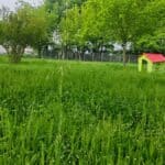 Τρίκαλα: Καθάρισαν το οικόπεδο, «ξέχασαν» το 2ο Νηπιαγωγείο