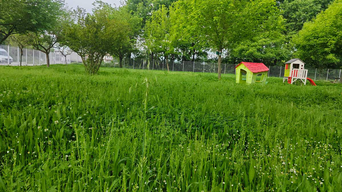 Τρίκαλα: Καθάρισαν το οικόπεδο, «ξέχασαν» το 2ο Νηπιαγωγείο