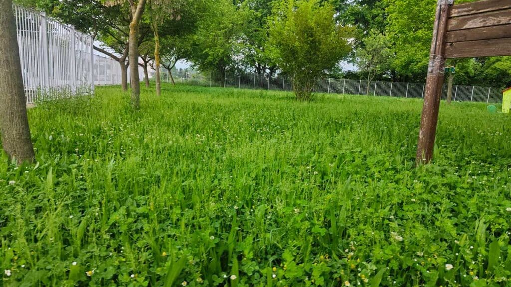 Τρίκαλα: Καθάρισαν το οικόπεδο, «ξέχασαν» το 2ο Νηπιαγωγείο