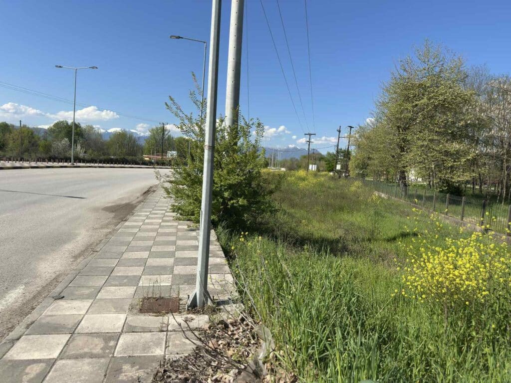 Υψηλή βλάστηση σε πεζοδρόμιο στον περιφερειακό Τρικάλων