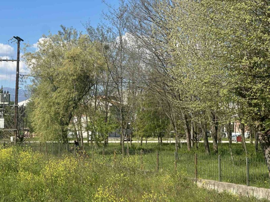 Δημοτική έκταση με πυκνή βλάστηση κοντά στα ΤΕΦΑΑ