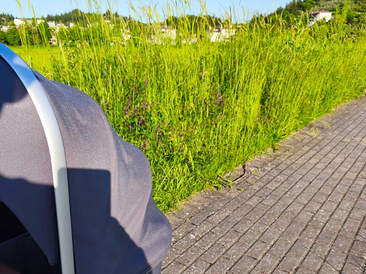 Τρίκκη: «Ζούγκλα» τα πεζοδρόμια του οικισμού