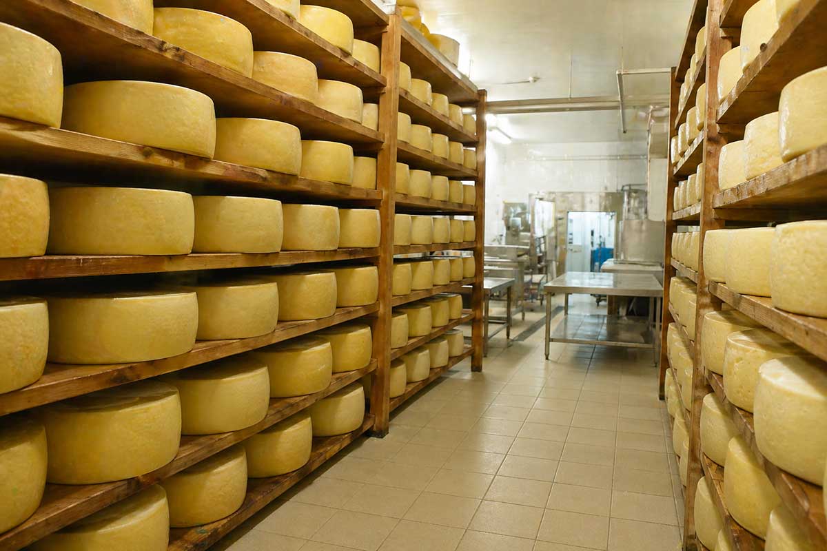 &Lambda;έ&sigma;&beta;&omicron;&sigmaf;: Ό&rho;&omicron;&iota; &beta;&iota;&omicron;&alpha;&sigma;&phi;ά&lambda;&epsilon;&iota;&alpha;&sigmaf; &gamma;&iota;&alpha; &tau;&eta; &delta;&iota;&alpha;&kappa;ί&nu;&eta;&sigma;&eta; &tau;&upsilon;&rho;&iota;ώ&nu;