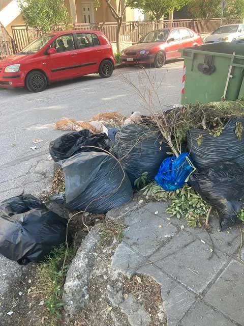 Τρίκαλα: Δύο κάδοι δεν φτάνουν για τις Αμυγδαλιές