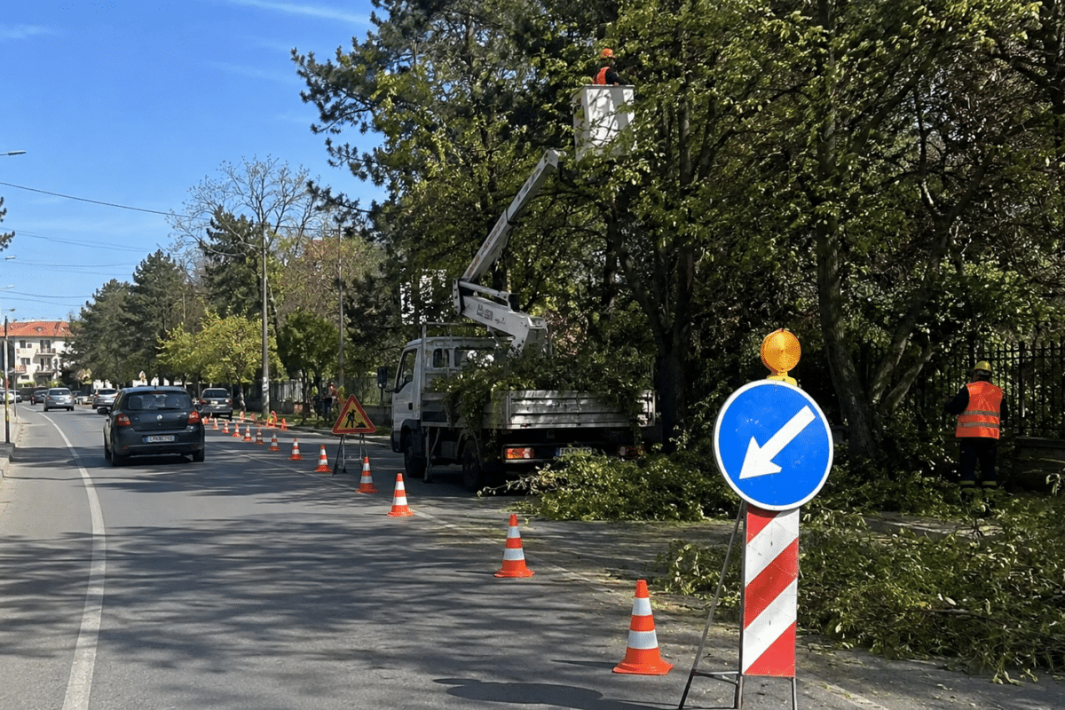 Τρίκαλα: Στενώσεις δρόμων για κλαδέματα