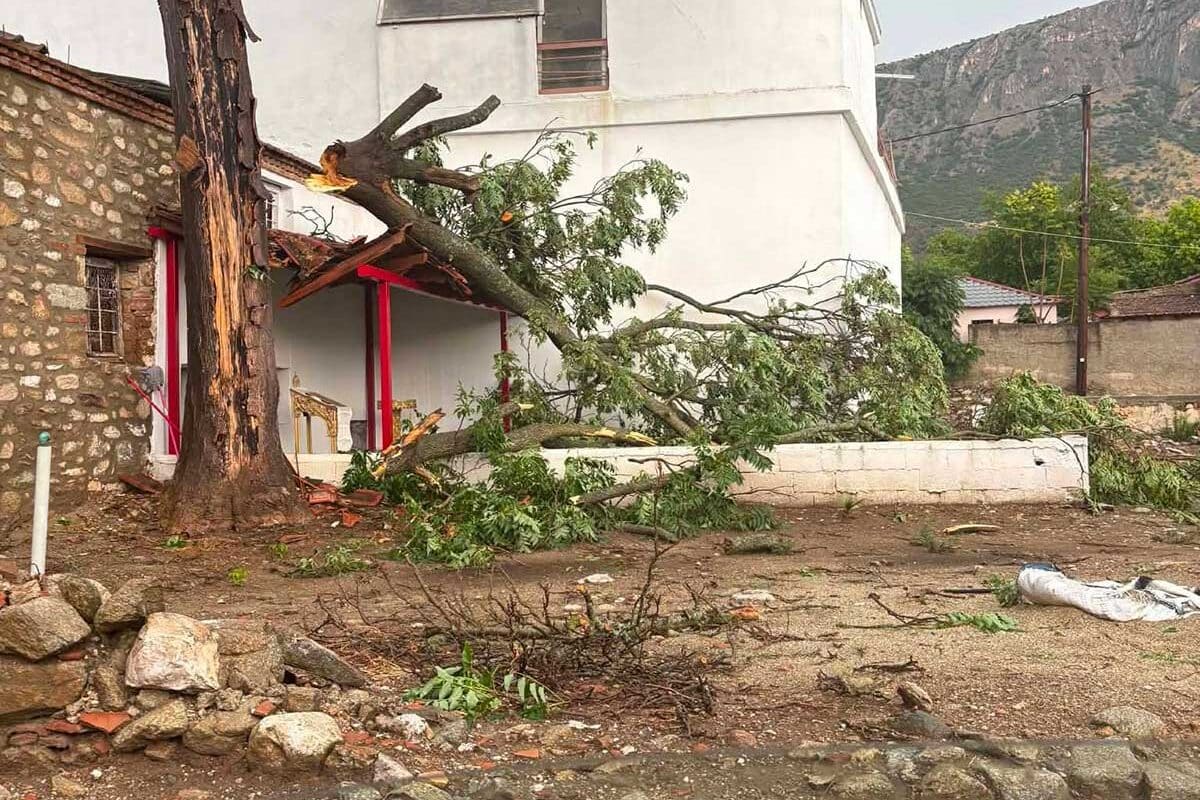Φαρκαδόνα: Δρόμοι και χωράφια πνίγηκαν στα νερά