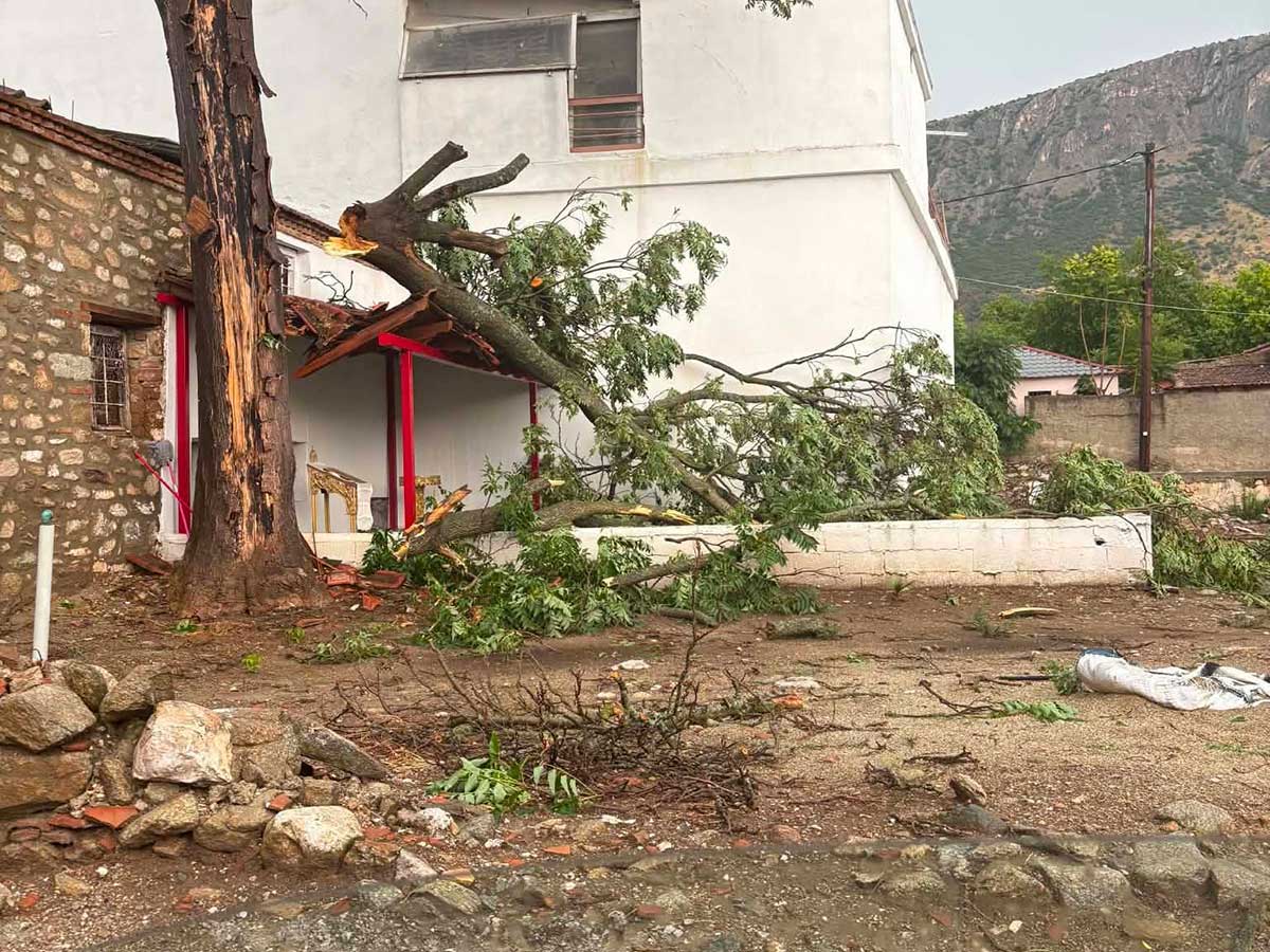 Φαρκαδόνα: Δρόμοι και χωράφια πνίγηκαν στα νερά