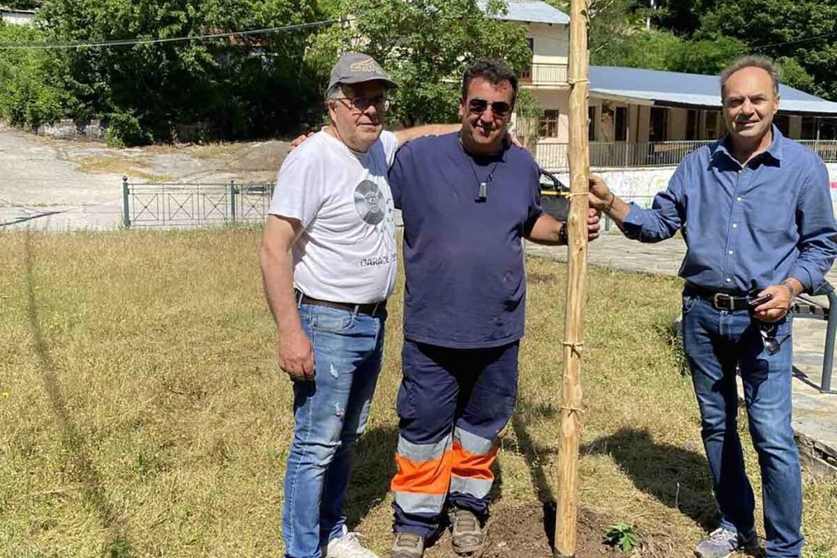Δενδροφύτευση από τον Δήμο Τρικκαίων στην Κόρη