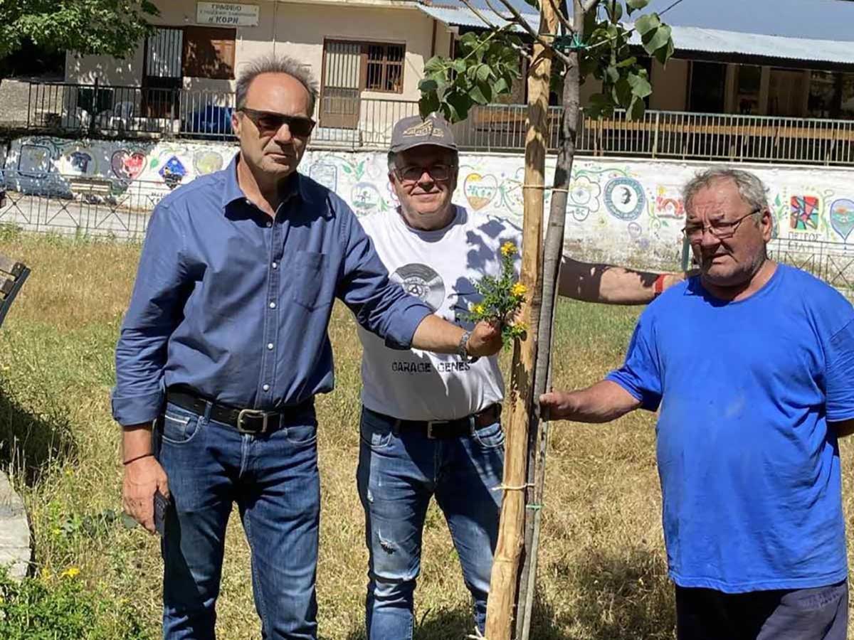 Δενδροφύτευση από τον Δήμο Τρικκαίων στην Κόρη