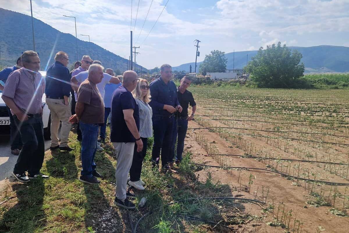 Φαρκαδόνα: Αυτοψία στις καλλιέργειες μετά το χαλάζι