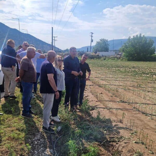 Φαρκαδόνα: Αυτοψία στις καλλιέργειες μετά το χαλάζι