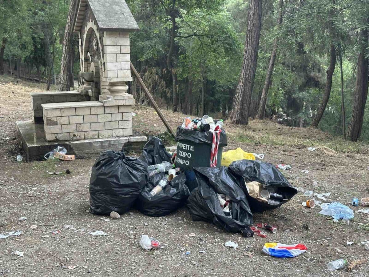Προφήτης Ηλίας: Από Forest Park σε Forest Crash