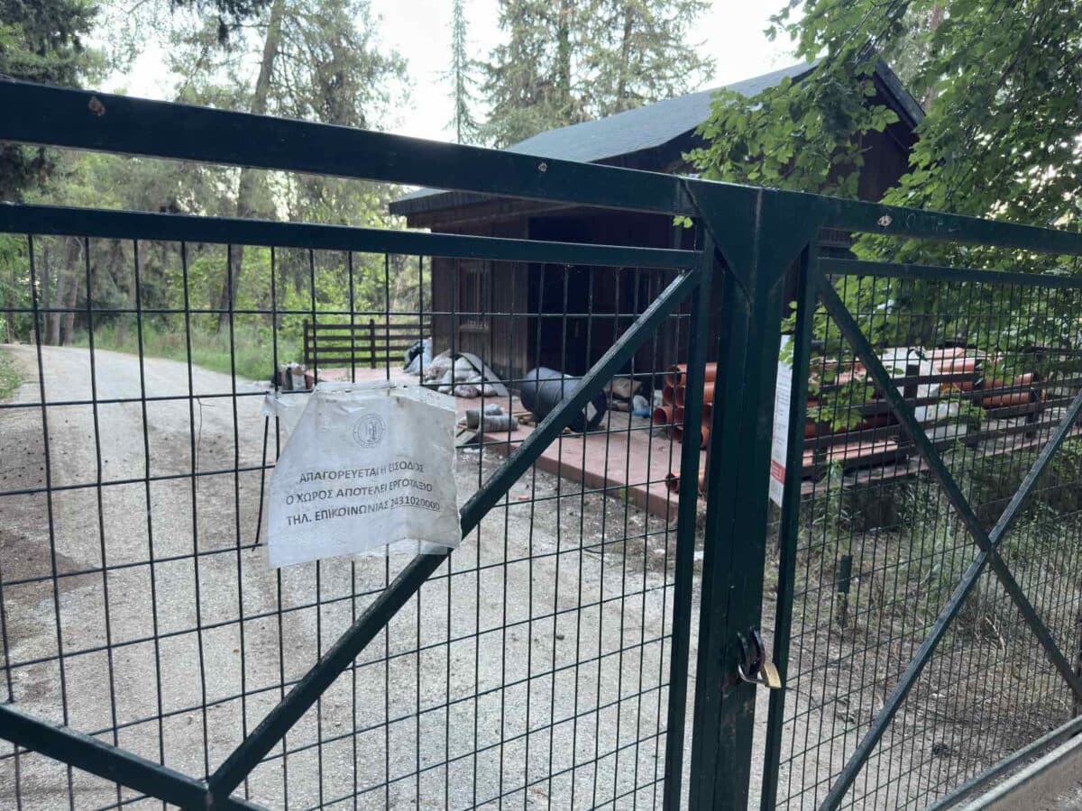 Προφήτης Ηλίας: Από Forest Park σε Forest Crash