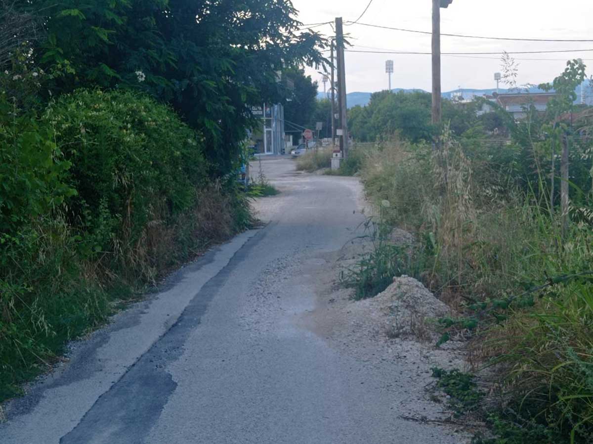 Το στενό τμήμα του δρόμου με τα ψηλά χόρτα.